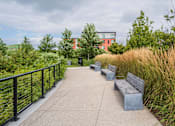 Thumbnail 21 of 23 - benches on a path in a park with tall grass and trees