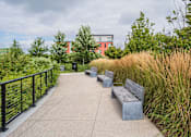 Thumbnail 26 of 42 - a row of benches in a park with tall grass and trees in the background