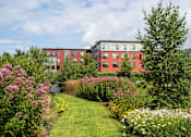 Thumbnail 31 of 42 - a garden with flowers and trees in front of a building