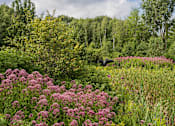 Thumbnail 27 of 42 - a bird flying over a lush green field