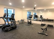 Thumbnail 12 of 18 - A gym with treadmills, weights, and exercise equipment.