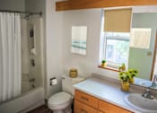 Thumbnail 8 of 15 - a bathroom with a toilet and a sink and a shower
