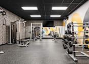 Thumbnail 70 of 151 - A gym with a variety of equipment including weights and weight machines.