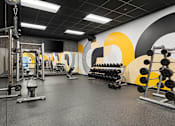 Thumbnail 71 of 151 - A gym with a variety of equipment including weights and a bench.
