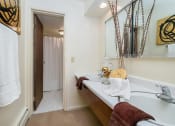 Thumbnail 18 of 26 - 611 Regency Way Apartments Bathroom Vanity