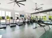 Thumbnail 45 of 46 - the gym has plenty of cardio equipment and windows