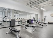Thumbnail 20 of 32 - A gym with a variety of equipment including weights and benches.