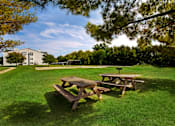 Thumbnail 23 of 29 - A picnic table sits in a grassy field.
