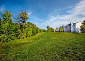 Thumbnail 29 of 29 - A grassy field with trees and buildings in the background.