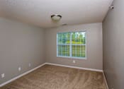 Thumbnail 5 of 29 - A room with a carpeted floor and a window showing a green lawn outside.