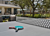 Thumbnail 25 of 32 - A red and green paddle is on a table tennis table.