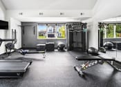 Thumbnail 18 of 30 - the gym at the house
