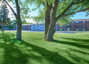 Thumbnail 34 of 34 - a lawn with two trees in front of a building