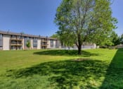 Thumbnail 30 of 30 - a large lawn with a tree in front of an apartment building