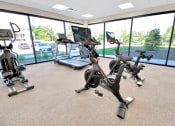 Thumbnail 24 of 38 - a gym with various exercise machines and a window view of a parking lot