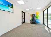 Thumbnail 25 of 38 - an empty room with a gym with weights and balls on the wall