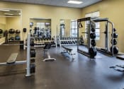 Thumbnail 33 of 40 - harrison park apartments fitness center with weight lifting e
