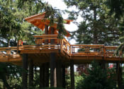 Thumbnail 38 of 38 - a tree house perched on top of trees