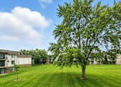 Thumbnail 15 of 45 - A tree stands in a grassy field in front of apartment buildings.