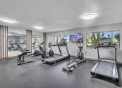 Thumbnail 7 of 46 - the gym is equipped with cardio equipment and weights
