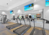 Thumbnail 27 of 43 - the gym at the preserve at green valley townhomes in green valley va