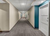 Thumbnail 37 of 41 - a hallway with white walls and blue and white doors and a rug on the floor