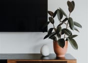 Thumbnail 22 of 43 - a potted plant sitting on top of a wooden dresser