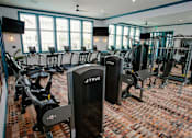 Thumbnail 32 of 43 - A gym with a row of True brand machines.
