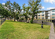 Thumbnail 27 of 27 - A grassy area with a fence and a building in the background.