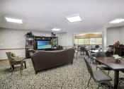Thumbnail 22 of 35 - a living room with couches tables and chairs and a television