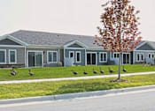 Thumbnail 18 of 18 - A row of ducks are walking in front of a house.