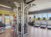 Thumbnail 13 of 28 - a gym with weights and cardio equipment and windows