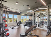 Thumbnail 12 of 28 - a gym with weights and other exercise equipment and windows