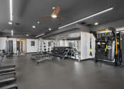 Thumbnail 23 of 31 - a gym with weights machines and a ceiling fan