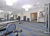 Thumbnail 26 of 32 - a gym with weights and cardio equipment at the preserve at great neck apartments