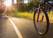 Thumbnail 7 of 11 - A bicycle is parked on the side of a road with the sun shining through the trees.