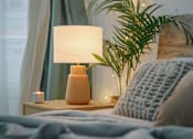Thumbnail 1 of 11 - A bedroom with a bed, a lamp, a plant, and a pillow.