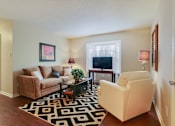 Thumbnail 6 of 24 - A living room with a brown couch, a white chair, and a black and white rug.
