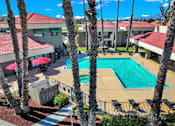Thumbnail 8 of 23 - A pool surrounded by palm trees and red umbrellas.