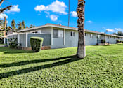 Thumbnail 12 of 35 - A row of houses with a palm tree in front.