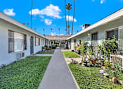 Thumbnail 8 of 35 - A row of houses with a sidewalk in front.