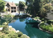 Thumbnail 41 of 43 - Stream View at LAKE DIANNE, Santa Ana