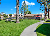 Thumbnail 8 of 27 - Curved walkway through community green space at ELEVATE Apartments HOMES, California, 92870