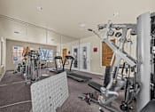 Thumbnail 14 of 18 - A gym with a variety of equipment including a treadmill, weights, and a bench press.
