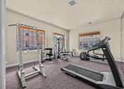 Thumbnail 12 of 18 - A spacious gym with a variety of equipment including treadmills, weights, and exercise machines.