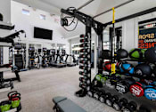Thumbnail 29 of 50 - A gym with a variety of equipment including dumbbells, weight plates, and a bench.