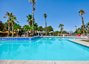 Thumbnail 35 of 57 - a large pool with palm trees next to it at the resort