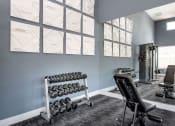 Thumbnail 16 of 41 - fitness center dumbells