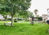 Thumbnail 12 of 15 - Picnic Area