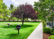 Thumbnail 13 of 15 - Picnic Area
